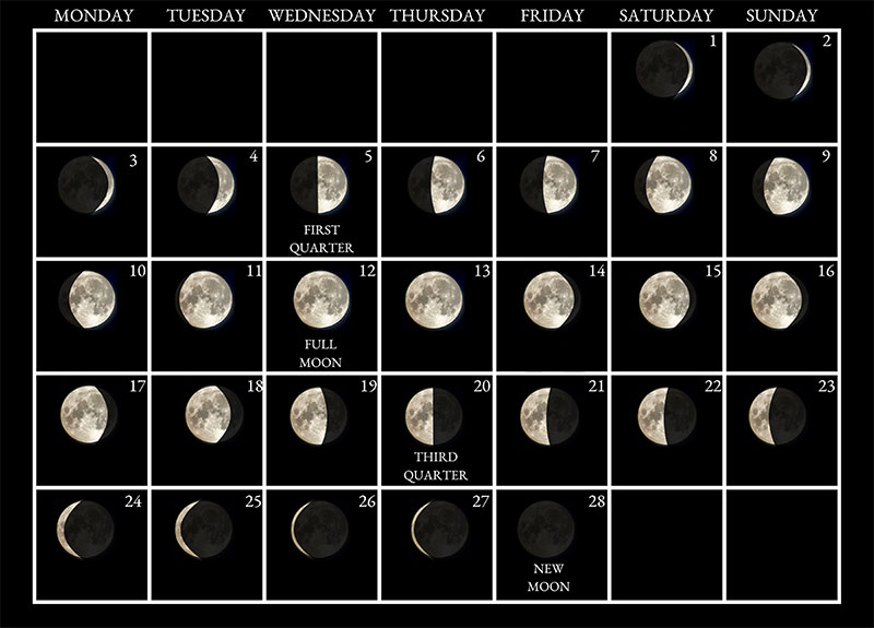 Moon phases image - February 2025