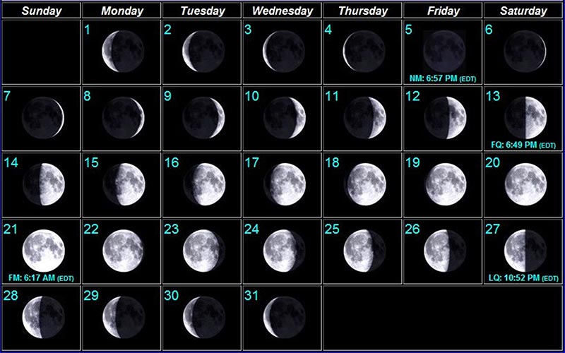 Moon phases image - July 2024