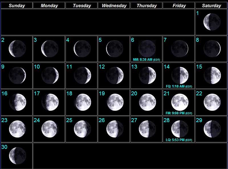 Moon phases image - June 2024